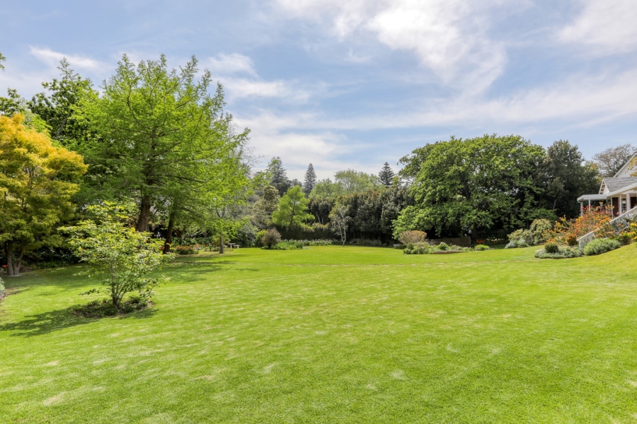 4 Bedroom Property for Sale in Constantia Western Cape